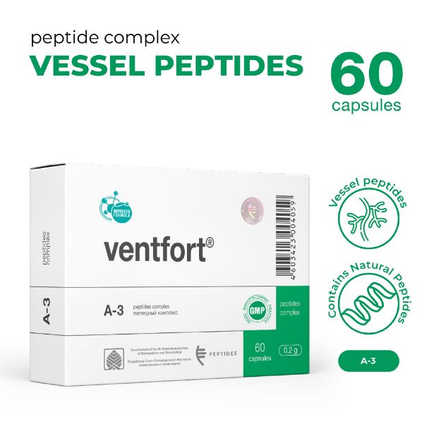 Ventfort 60